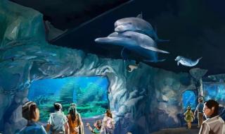 迪士尼门票低于半价 迪士尼门票低于半价