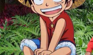 海贼同人小说排行榜