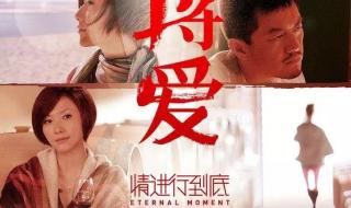 将爱情进行到底电视剧 将爱情进行到底电视剧