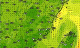 浙江福建等多地大暴雨 浙江福建等多地大暴雨
