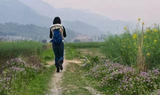 走在乡间的小路上歌词 走在乡间的小路上歌词