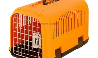 宠物托运空运多少钱