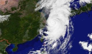 第11号台风最新消息 第11号台风最新消息