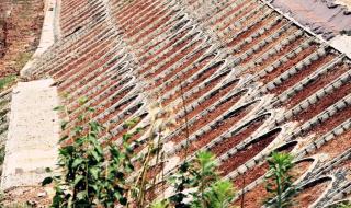 边坡绿化多少钱1平方米 边坡绿化多少钱1平方米