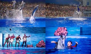 大连老虎滩海洋公园