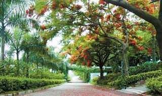 时光的河入海流终于我们分头走