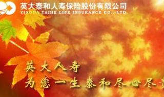 英大泰和人寿保险股份有限公司 英大泰和人寿保险股份有限公司