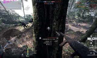 网吧森林为什么不能联机 网吧森林为什么不能联机