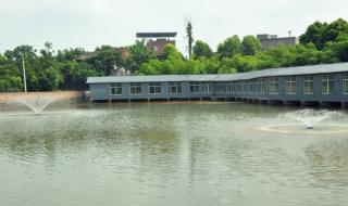 85岁重庆前首富住进养老院 85岁重庆前首富住进养老院