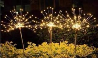 仙女棒是插哪里的 仙女棒是插哪里的