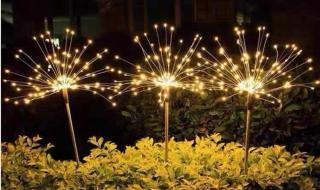 仙女棒是插哪里的 仙女棒是插哪里的