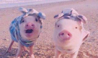 在一瞬间有一百万个可能 在一瞬间有一百万个可能